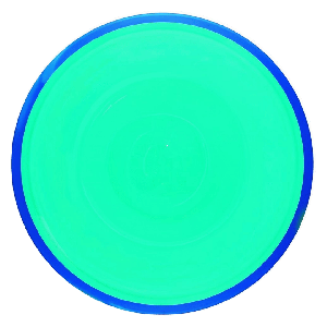 Neutron Crave Blanks