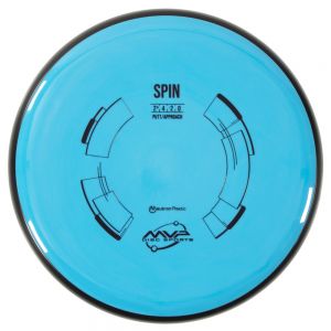 Neutron Spin