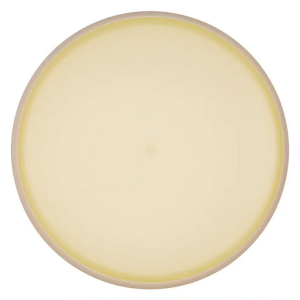 Eclipse Watt Blanks
